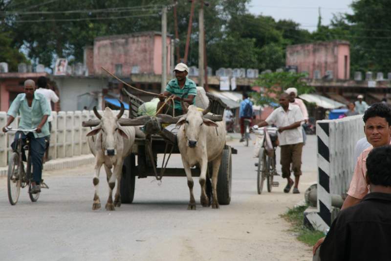 India & Nepal 2011 - 0636